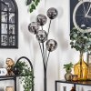 Gastor Staande lamp - Glas 15 cm Rookkleurig, 5-lichts