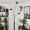 Nikkala Staande lamp Zwart, 3-lichts