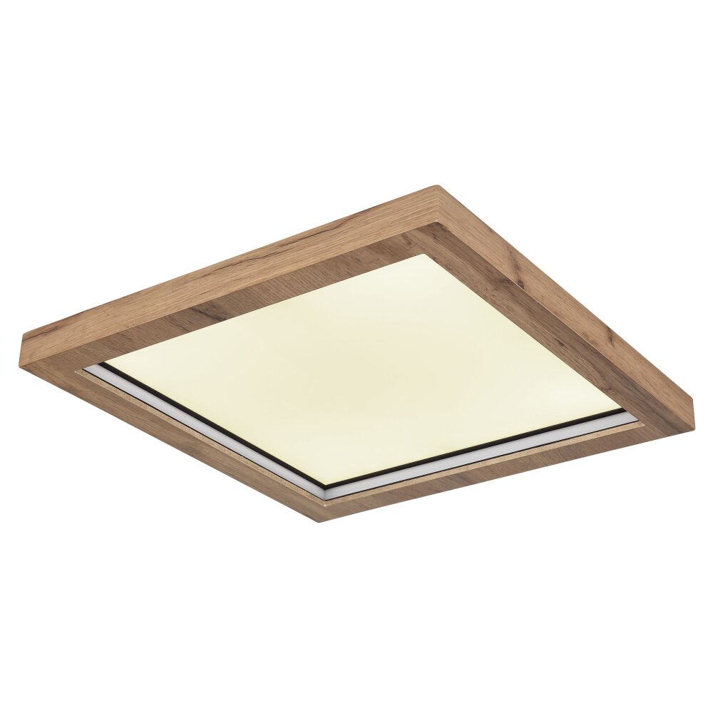 Globo BRANZA Plafondlamp LED Zwart, 1-licht, Afstandsbediening main product photo
