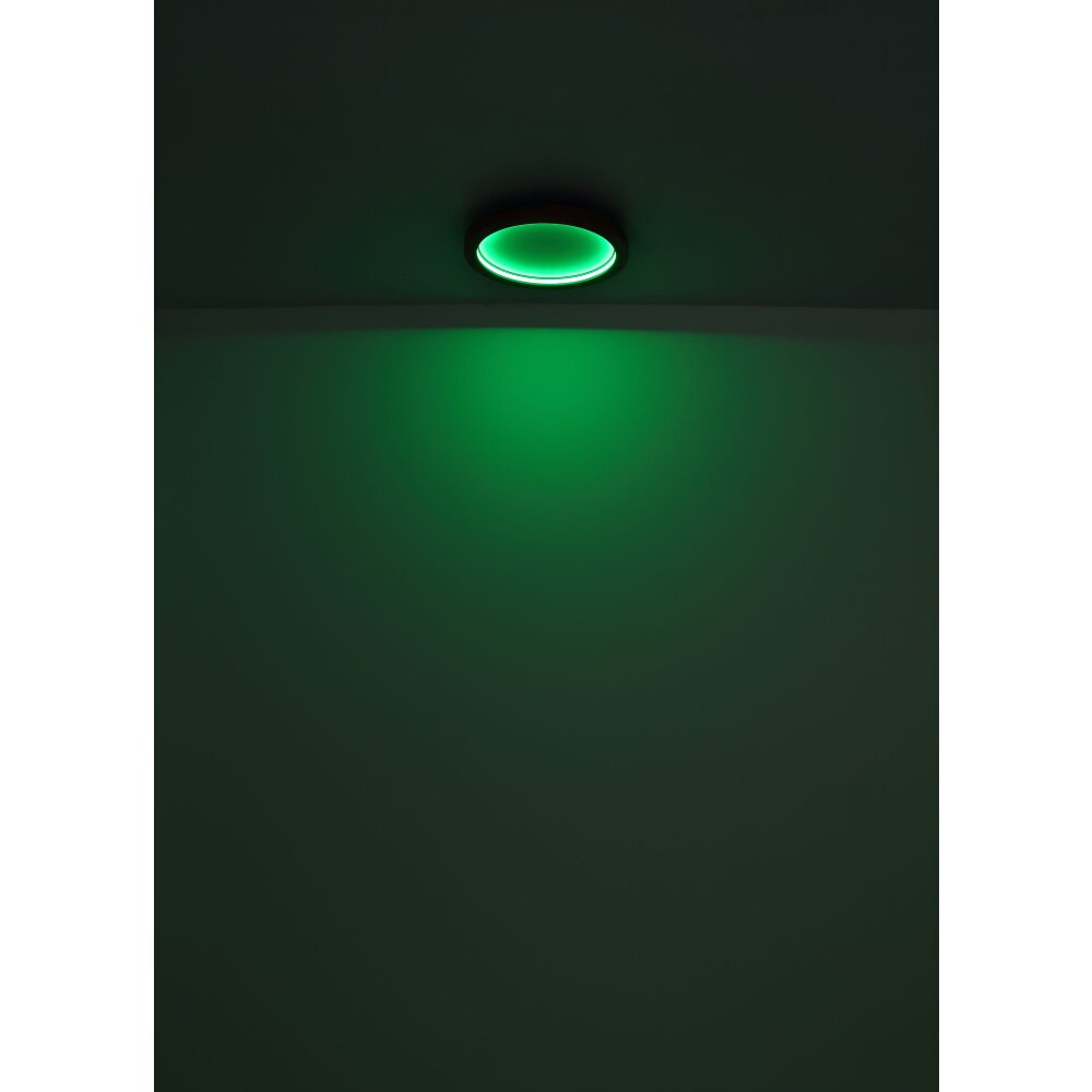 Globo BRANZA Plafondlamp LED Zwart, 1-licht, Afstandsbediening
