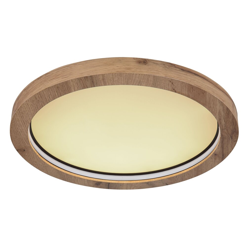 Globo BRANZA Plafondlamp LED Zwart, 1-licht, Afstandsbediening