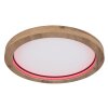 Globo BRANZA Plafondlamp LED Zwart, 1-licht, Afstandsbediening