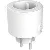Globo SMART adapter Wit