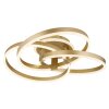 Globo HERWIG Plafondlamp LED Goud, 1-licht, Afstandsbediening