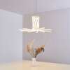 Bangor Hanger LED Wit, 1-licht