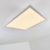 Barasat Plafondlamp LED Wit, 1-licht