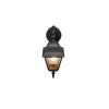 Trio Livenza Muurlamp Zwart, 1-licht