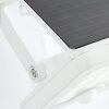 Brilliant Luton Buiten muurverlichting LED Wit, 1-licht, Bewegingsmelder