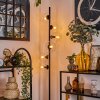 Gastor Staande lamp - Glas 15 cm Duidelijk, 6-lichts