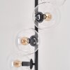 Gastor Staande lamp - Glas 15 cm Duidelijk, 6-lichts