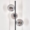 Gastor Staande lamp - Glas 15 cm Rookkleurig, 3-lichts