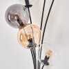 Gastor Staande lamp - Glas 15 cm Amber, Duidelijk, Rookkleurig, 6-lichts