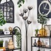 Gastor Staande lamp - Glas 15 cm Duidelijk, Rookkleurig, 5-lichts