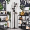 Gastor Staande lamp - Glas 15 cm Zwart, 5-lichts