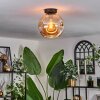 Ripoll Plafondlamp - Glas 25 cm Amber, 1-licht
