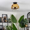 Ripoll Plafondlamp - Glas 25 cm Goud, Duidelijk, 1-licht