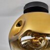 Ripoll Plafondlamp - Glas 25 cm Goud, Duidelijk, 1-licht