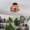 Ripoll Plafondlamp - Glas 25 cm Duidelijk, Koperkleurig, 1-licht