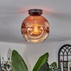 Ripoll Plafondlamp - Glas 25 cm Duidelijk, Koperkleurig, 1-licht