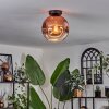 Ripoll Plafondlamp - Glas 25 cm Duidelijk, Koperkleurig, 1-licht