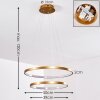 Canisteo Hanger LED Goud, 2-lichts