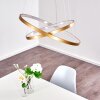 Canisteo Hanger LED Goud, 2-lichts