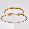 Canisteo Hanger LED Goud, 2-lichts