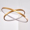 Canisteo Hanger LED Goud, 2-lichts