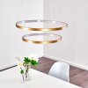 Canisteo Hanger LED Goud, 2-lichts