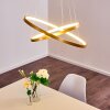 Canisteo Hanger LED Goud, 2-lichts