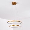 Canisteo Hanger LED Goud, 2-lichts