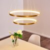 Canisteo Hanger LED Goud, 2-lichts