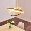 Canisteo Hanger LED Goud, 2-lichts