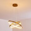 Canisteo Hanger LED Goud, 2-lichts