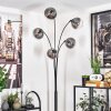 Gastor Staande lamp - Glas 15 cm Duidelijk, Rookkleurig, 5-lichts