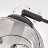 Gastor Staande lamp - Glas 15 cm Duidelijk, Rookkleurig, 5-lichts