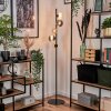 Remaisnil Staande lamp - Glas 10 cm, 12 cm Zwart, 5-lichts