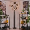 Ripoll Staande lamp - Glas 15 cm Rookkleurig, 5-lichts