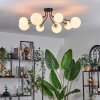 Chehalis Plafondlamp - Glas 12 cm, 15 cm Goud, Zwart, 8-lichts