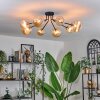 Chehalis Plafondlamp - Glas 12 cm, 15 cm Goud, Zwart, 8-lichts
