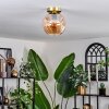 Ripoll Plafondlamp - Glas 20 cm Goud, Zwart, 1-licht