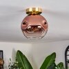 Ripoll Plafondlamp - Glas 20 cm Goud, Zwart, 1-licht
