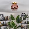 Ripoll Plafondlamp - Glas 20 cm Goud, Zwart, 1-licht