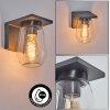 Aquin Buiten muurverlichting Antraciet, 1-licht Aquin Buiten muurverlichting Antraciet, 1-licht