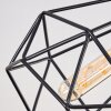 Yaak Plafondlamp Zwart, 2-lichts