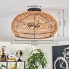 Brandala Plafondlamp 40 cm Zwart, 3-lichts