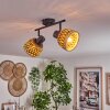 Barayn Plafondlamp Zwart, 2-lichts