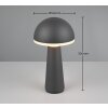 Reality FUNGO Tafellamp LED Antraciet, 1-licht