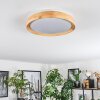 Sofo Plafondlamp LED Wit, 1-licht