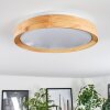 Sofo Plafondlamp LED Wit, 1-licht